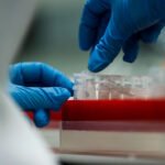 Egg Freezing vs. Embryo Freezing: What’s the Difference?